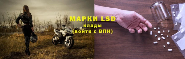 ALPHA PVP Бердск