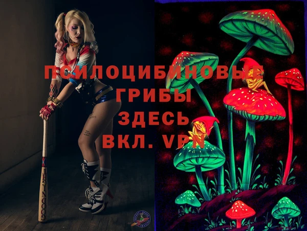ПСИЛОЦИБИНОВЫЕ ГРИБЫ Михайловск