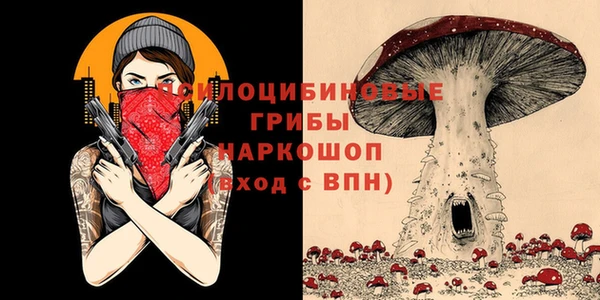 эйфоретик Михайлов