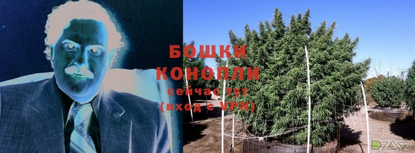 эйфоретик Михайлов