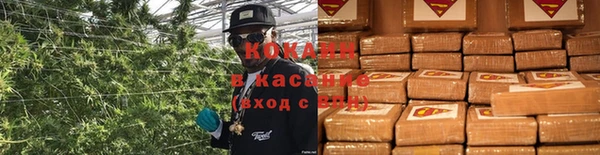 ПСИЛОЦИБИНОВЫЕ ГРИБЫ Михайловск