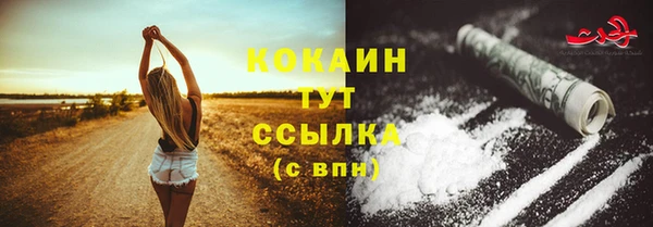 эйфоретик Михайлов